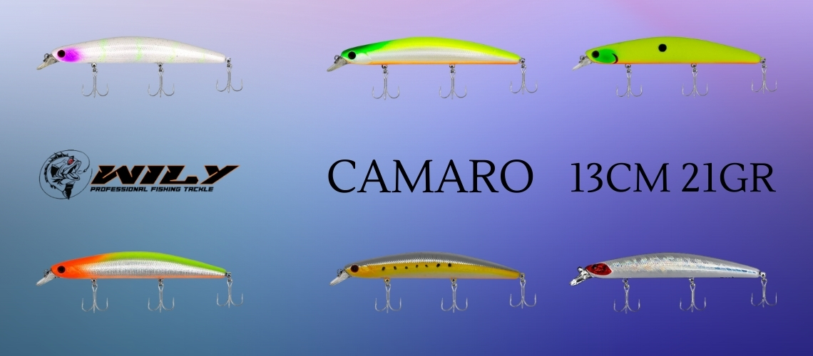 1_20251213_031955_0000