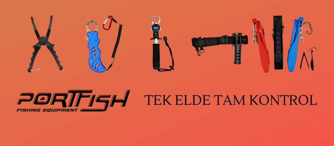 2_20251213_031955_0001