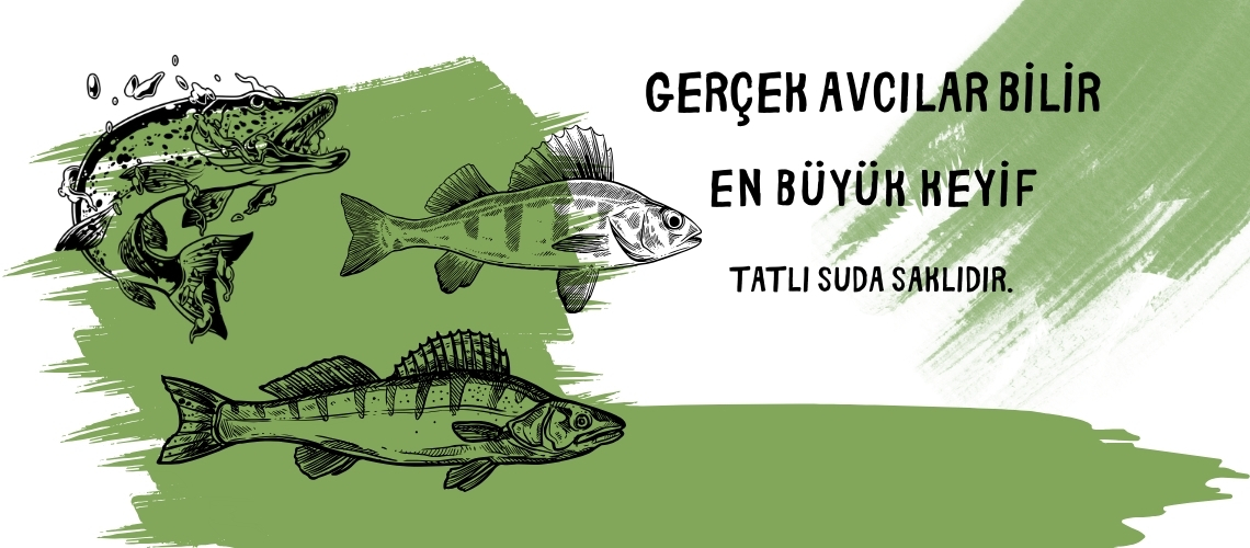 3_20251213_031955_0002