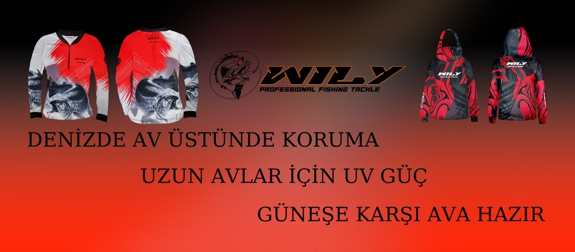 4_20251213_031955_0003