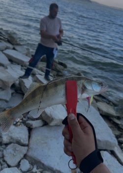 IMG_20251215_011837_481