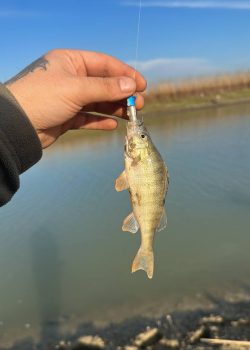 IMG_20251215_011837_746