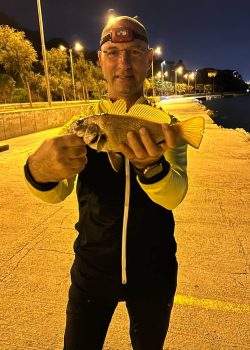 IMG_20251215_011837_769