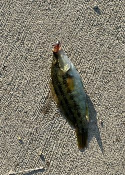 IMG_20251215_011837_814