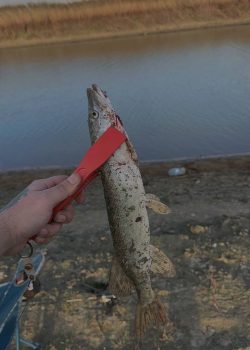 IMG_20251215_011838_072