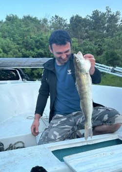 IMG_20251215_011844_655