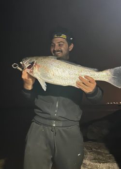 IMG_20251215_011845_154