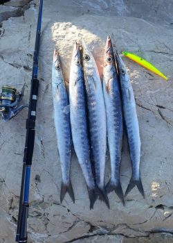 süperstar-12072021-2